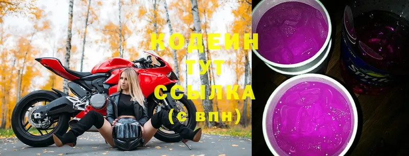 купить закладку  Нытва  Кодеиновый сироп Lean Purple Drank 